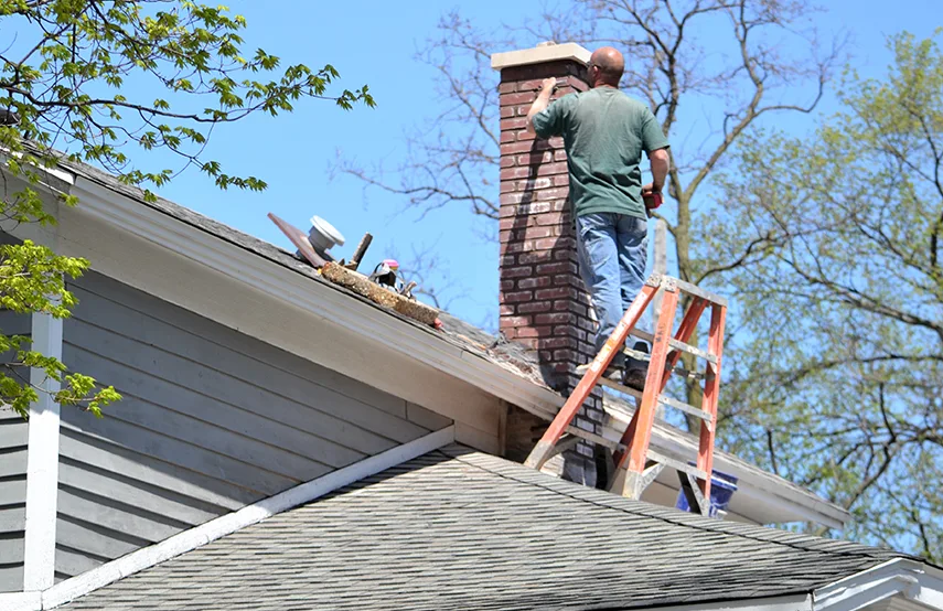 Chimney & Fireplace Inspections Services in Bellingham, WA